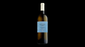 Pinot Grigio Bottega Vinai Trentino Italy