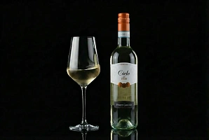 Pinot Grigio Italy